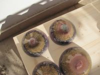 Read more: Day 30 - 23.12.2011 -  Božične Svete Granate