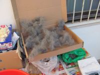 Read more: Day 31 - 24.12.2011 -  ChemBuster - GORDAANA