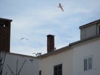 Read more: Day 31 - 24.12.2011 -  ChemBuster - GORDAANA