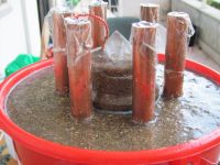 Read more: Day 31 - 24.12.2011 -  ChemBuster - GORDAANA