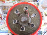 Read more: Day 31 - 24.12.2011 -  ChemBuster - GORDAANA