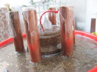 Read more: Day 31 - 24.12.2011 -  ChemBuster - GORDAANA