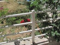 Read more: Day 34 - 08.06.2012 -  GORDAANA i 'Milanova nula'