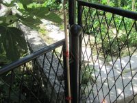 Read more: Day 34 - 08.06.2012 -  GORDAANA i 'Milanova nula'