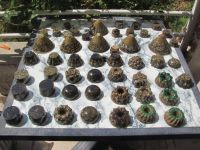 Read more: Day 35 - 04.07.2012 -  Najsjajniji dragulj u svemiru!