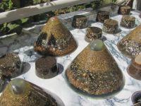 Read more: Day 35 - 04.07.2012 -  Najsjajniji dragulj u svemiru!