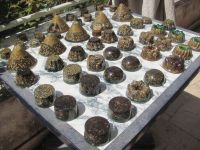 Read more: Day 35 - 04.07.2012 -  Najsjajniji dragulj u svemiru!