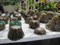 Read more: Day 35 - 04.07.2012 -  Najsjajniji dragulj u svemiru!