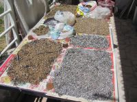 Read more: Day 36 - 14.07.2012 -  Arya na 'Milanovoj nuli' i gromobranu