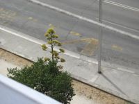 Read more: Day 36 - 14.07.2012 -  Arya na 'Milanovoj nuli' i gromobranu