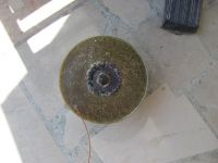 Read more: Day 37 - 28.07.2012 -  Kraljica