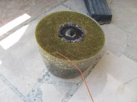 Read more: Day 37 - 28.07.2012 -  Kraljica