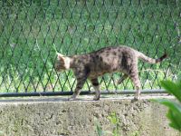 Read more: Day 3 - 23.06.2011 - Prvo giftanje