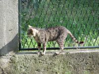 Read more: Day 3 - 23.06.2011 - Prvo giftanje