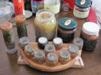 Read more: Day 3 - 23.06.2011 - Prvo giftanje