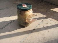 Read more: Day 3 - 23.06.2011 - Prvo giftanje