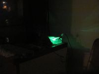 Read more: Day 42 - 08.08.2012 -  Nera