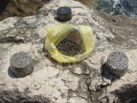 Read more: Day 43 - 09.08.2012 -  Giftanje Žnjana i hotela Radisson