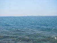 Read more: Day 43 - 09.08.2012 -  Giftanje Žnjana i hotela Radisson