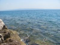 Read more: Day 43 - 09.08.2012 -  Giftanje Žnjana i hotela Radisson