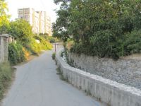 Read more: Day 44 - 11.08.2012 -  Giftanje: Zenta, Trstenik, Žnjan