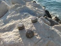 Read more: Day 44 - 11.08.2012 -  Giftanje: Zenta, Trstenik, Žnjan