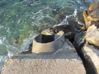 Read more: Day 44 - 11.08.2012 -  Giftanje: Zenta, Trstenik, Žnjan