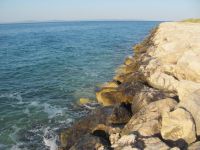 Read more: Day 44 - 11.08.2012 -  Giftanje: Zenta, Trstenik, Žnjan