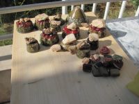 Read more: Day 45 - 12.08.2012 -  Giftanje: bolnica Križine i Duilovo