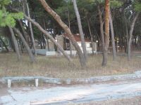 Read more: Day 45 - 12.08.2012 -  Giftanje: bolnica Križine i Duilovo