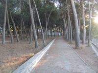 Read more: Day 45 - 12.08.2012 -  Giftanje: bolnica Križine i Duilovo