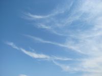 Read more: Day 46 - 13.08.2012 -  Giftanje: Gospe od Žnjana