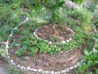 Read more: Day 4 - 06.07.2011 - Drugo giftanje s 'cukrašima'