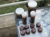 Read more: Day 4 - 06.07.2011 - Drugo giftanje s 'cukrašima'