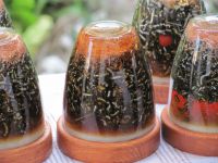 Read more: Day 5 - 13.07.2011 - Prvi HHG