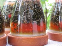 Read more: Day 5 - 13.07.2011 - Prvi HHG