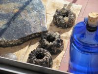 Read more: Day 6 - 30.07.2011 - Tri srca