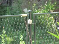 Read more: Day 7 - 13.08.2011 - Mini Pipe Car Broadcasteri