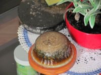 Read more: Day 9 - 27.08.2011 - Nove šečerne Svete Granate